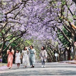 Meet your Posher, Nechama